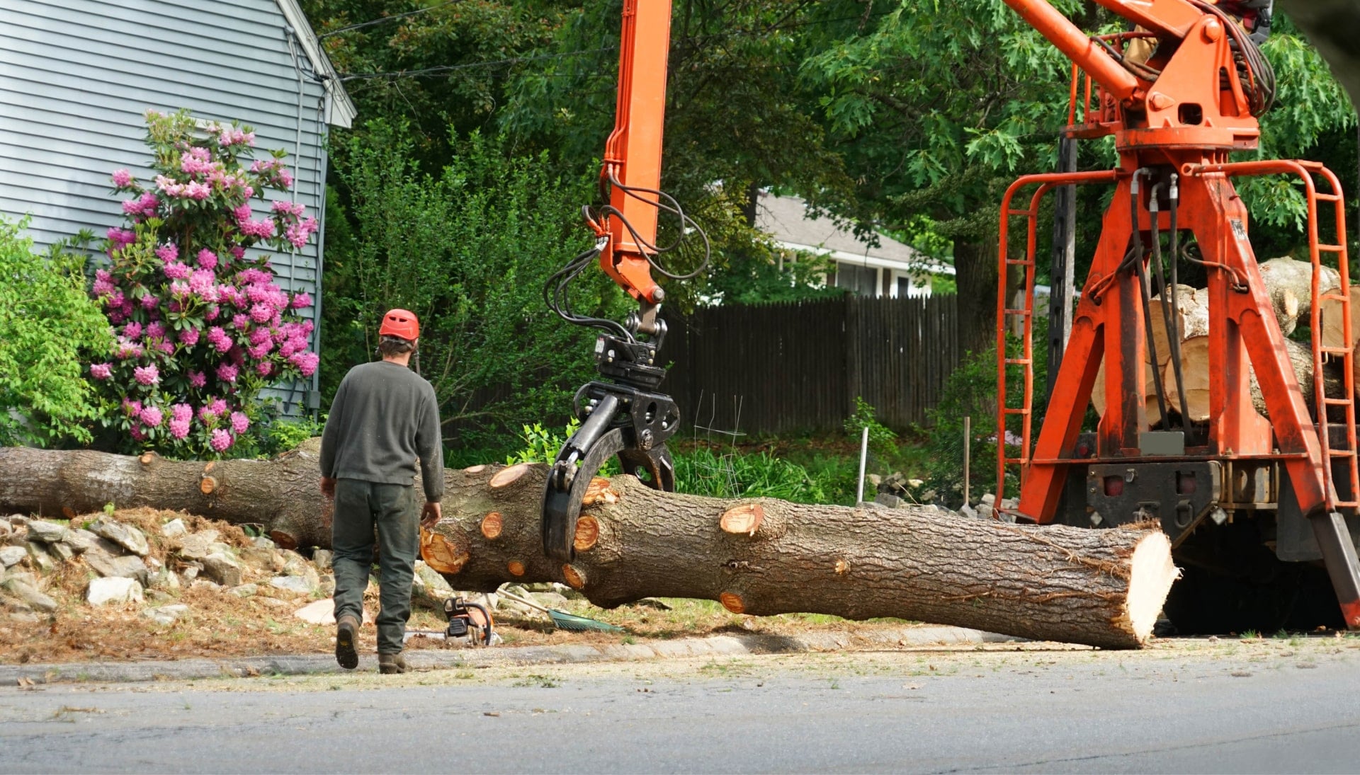 Local partner for Tree removal services in New Orleans